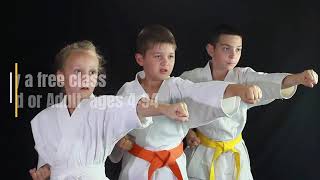 Holans Taekwondo and karate classes in Irving Texas tkd video [upl. by Ashien]