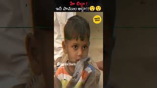 మహారాష్ట్రలోని షెత్వాల్ గ్రామంలో ఎటు చూసినా పాములే 😇😇 Shetpal Snake Village viral facts india [upl. by Octavia681]