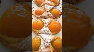 Easy Apricot Custard Pastry LOranais [upl. by Wernick]