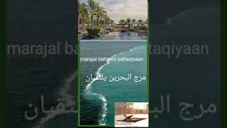 marajal bahraini  miracle of Quran  the tow seas مرج البحرین یلتقیان [upl. by Mathis]