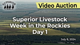 Superior Livestock Auction  Week in the Rockies Day 1 [upl. by Dihahs]