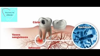 Cariologia  Resumos de Odonto [upl. by Arty337]