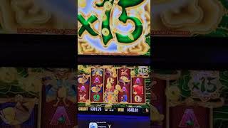 OMG MASSIVE WIN On 5 Dragons Gold Slot Machine shorts [upl. by Eiderf133]