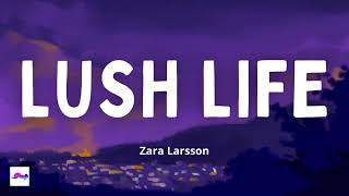 Lush Life 1 Hour  Zara Larsson [upl. by Slosberg]