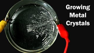 How to grow Tin Crystals [upl. by Aniez499]