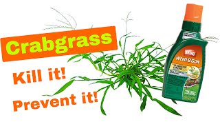 HOW TO KILL AND REMOVE CRABGRASS WITHOUT KILLING YOUR LAWN  3 Steps To Success [upl. by Nayb]