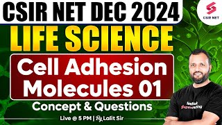 CSIR NET DEC 2024  Life Science  Concept And Questions  Cell Adhesion Molecules  01Dr Lalit Pal [upl. by Lon]