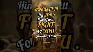 Exodus 1414  Healthy Teach  Holy Bible Verses [upl. by Hafital552]