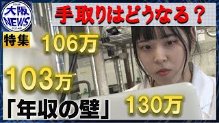 【103万円の壁】年収の壁、社会保険料の壁…「撤廃」で手取りが増える場合と減る場合 [upl. by Ojybbob]