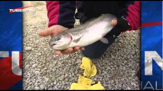 Italian Fishing TV  Tubertini  Tecniche di pesca  Trota Lago [upl. by Yerak171]