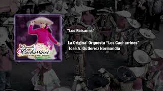 Los Faisanes  La Original Orquesta Los Cacharrines  Carnaval 2022 [upl. by Auqenat]