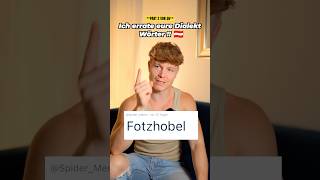 Ich errate eure Dialekt Wörter 🇦🇹⚠️ FOTZHOBEL [upl. by Waechter]