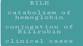 BILE BIOCHEMISTRY  JAUNDICE  KERNICTERUS [upl. by Aldrich187]