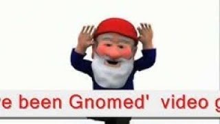 youve been gnomedwmv [upl. by Esinert]