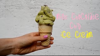 Healthy Mint Chocolate Chip Ice Cream Recipe [upl. by Nhaj]