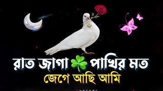 Premer shayari  sweet love story  valobasar notun shayari 2025 tik tok [upl. by Raynah]