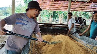 Muscovado Sugar Production [upl. by Nayr]