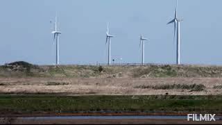 A visit to rspb wallasea island [upl. by Asilat337]