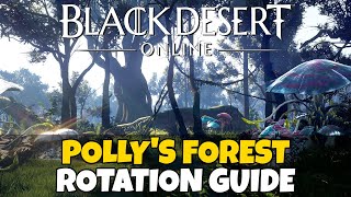 Pollys Forest Rotation Guide  Black Desert Online [upl. by Alethia576]