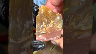 Cutting Wildfire Plume Agate [upl. by Nnad]