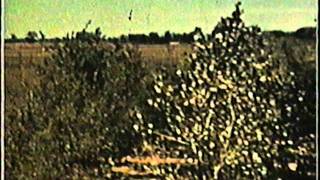 Prairie States Forestry Project in Kansas  Part 2 [upl. by Rebmaed]