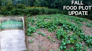 Food Plot Update  Last Minute Winter Rye Planting [upl. by Eahsed624]