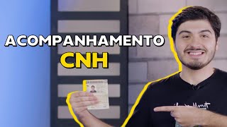 Como funcionam as regras de pontuação da CNH quando ela pode ser suspensa e mais ChamaoGringo [upl. by Kalie565]