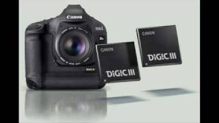 Preview CANON EOS 1Ds mark III [upl. by Emilia]