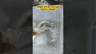 Stripping Galvanizing with Muriatic Acid this time doing it the quicker way [upl. by Chui106]