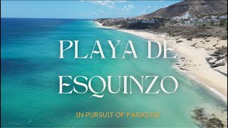 Playa de Esquinzo Fuerteventura DRONE FOOTAGE [upl. by Gavin]