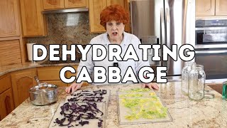 Dehydrating Cabbage [upl. by Mcleod]