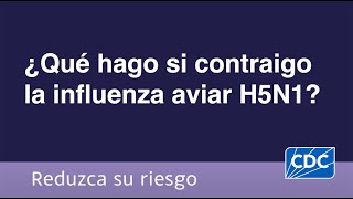 ¿Qué hago si contraigo la influenza aviar H5N1 [upl. by Odnomra902]