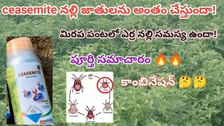 ceasemite insecticide uses in Telugu  ceasemite insecticide  erra nalli nivarana in mirchi  nalli [upl. by Niamrahc797]