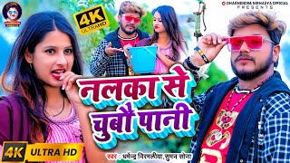 VIDEO  नलका से चुबौ पानी Dharmendra Nirmaliya New Video  Suman Sona  Nalka Se Chubo Pani [upl. by Lerej]