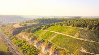 Frankens spektakulärste Steillage – Weinlese bei der GWF [upl. by Joceline]