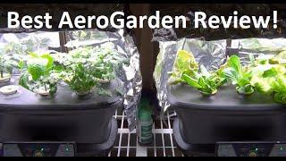 BEST AeroGarden Review  3 Months From Setup To Fruit [upl. by Lane339]