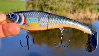 Lure Fishing for Pike  LANCASTER CANAL Right at my feet [upl. by Noryb967]