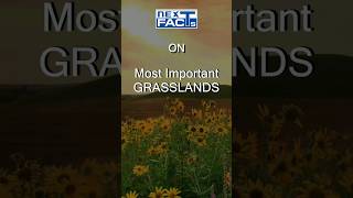 65 🌿 Most Important Grasslands  Geography for UPSC Prelims 2024  Next Facts [upl. by Kcirrej]