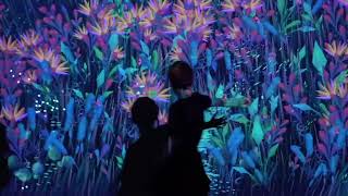 Interactive Wall Projection [upl. by Ominorej]