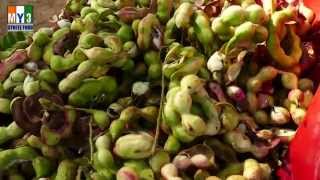 Pithecellobium Dulce Bean  Camachile  Seema Chintakaya  street food [upl. by Finzer]