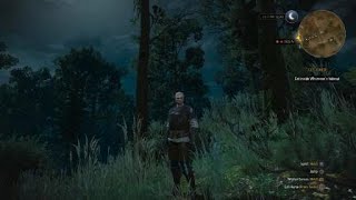 The Witcher 3 Wild Hunt Leshen Mutagen Location [upl. by Assecnirp]