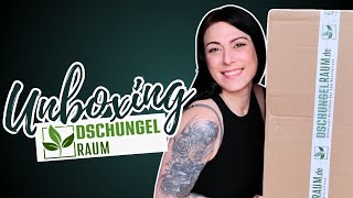 Dschungelraum Winter Unboxing  Alocasia und co trotz Kälte bestellen So kamen die Pflanzen an [upl. by Selma]