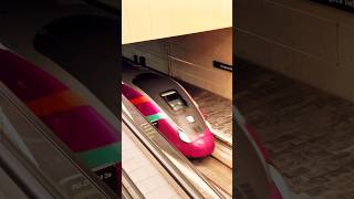 Arriving at Zaragoza  AVLO LOWCOST Bullet Train  Renfe High Speed Rail  Spain [upl. by Yarezed]