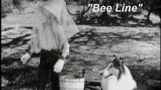 Lassie  Episode 349  quotBee Linequot  Season 10 Ep 26  04121964 [upl. by Emirak]