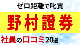 野村證券 社員の口コミ20選 [upl. by Ialocin946]