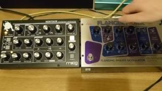 Moog Minitaur amp EHX Flanger Hoax [upl. by Rosner539]