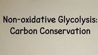 Nonoxidative Glycolysis Carbon Conservation [upl. by Orhtej]