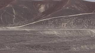 the Palpa geoglyphs of the Paracas culture in Peru [upl. by Della]