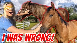 HOW WELL DO I REALLY KNOW MY HORSES BLINDFOLDED CHALLENGE [upl. by Brittney]