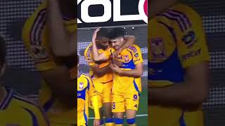 ¡PERFECTO  Centro de Brunetta a la cabeza de Ibáñez gana Tigres [upl. by Nikkie717]